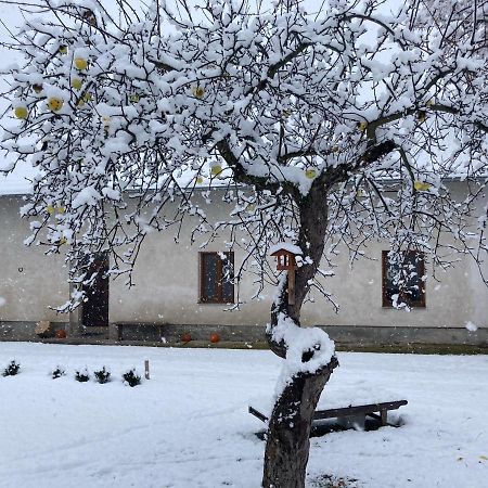 Prijemny Apartman Se Zahradou Ostresany Extérieur photo