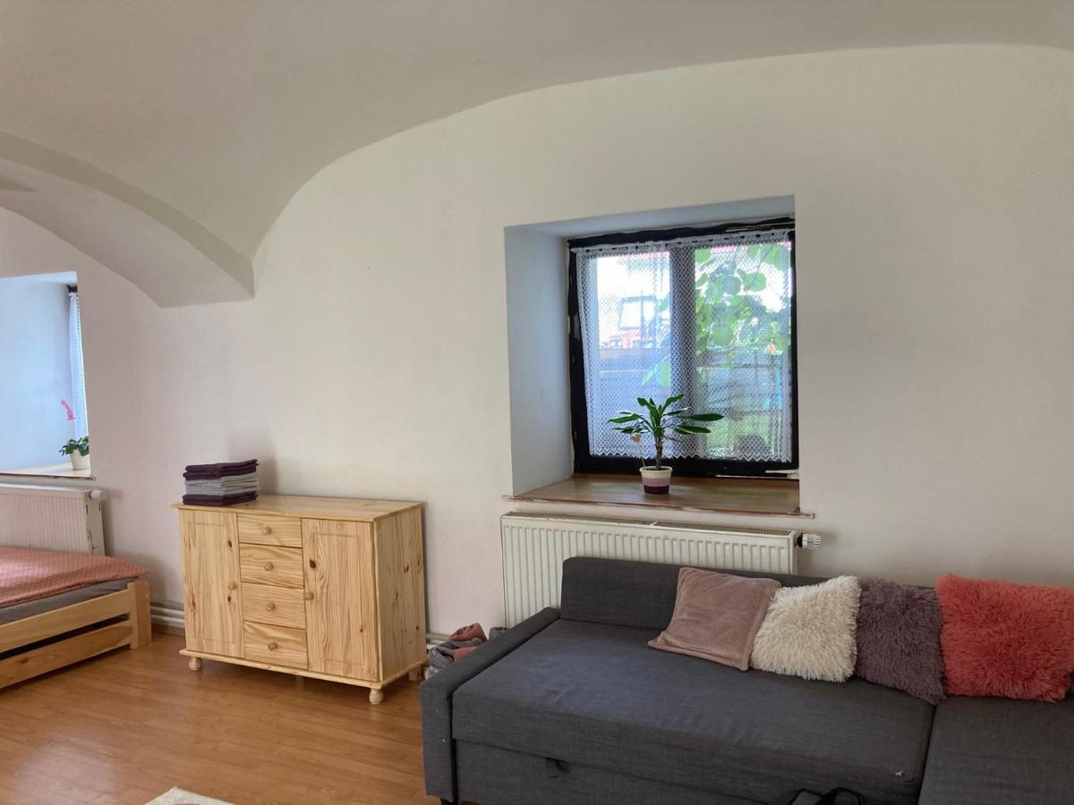 Prijemny Apartman Se Zahradou Ostresany Extérieur photo